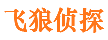 龙文私家侦探公司